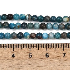 Природного апатита нитей бисера G-RM250101-E2