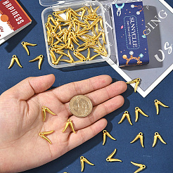 60 шт. Подвески из сплава в тибетском стиле&nbsp;FIND-SC0019-36G