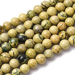 Нити бусин из натурального камня вердит&nbsp;G-C242-03-6mm