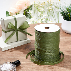 Плоская лента из бумаги рафия OCOR-BC0006-20C