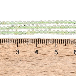 Природные пренит нитей бисера G-C255-B03-2mm