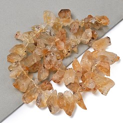 Нити из нагретых натуральных цитриновых бусин&nbsp;G-L650-J01-01