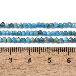 Природного апатита нитей бисера G-D347-A01