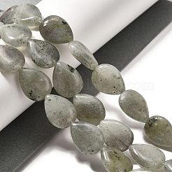 Природные лабрадорита бисер нитей G-P561-B05-01