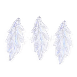 Прозрачные акриловые подвески&nbsp;OACR-T003-47