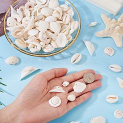 Наборы для самостоятельного изготовления украшений из натуральных ракушек DIY-BT0001-37