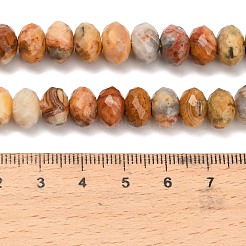 Природные сумасшедший агат бисер нитей G-C259-A04-8x12mm