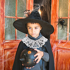 6 шт. 6-х стильный молочный шелковый вышитый кружевной воротник с цветочным узором DIY-GF0005-42