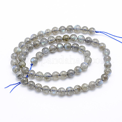 Природные лабрадорита бисер нитей&nbsp;G-P336-19-6mm