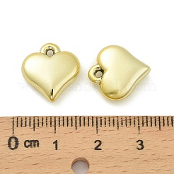 Подвески из непрозрачного акрила с покрытием&nbsp;OACR-B032-01G