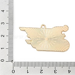 Подвески из спортивного сплава с эмалью&nbsp;ENAM-I074-01G-18