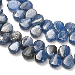 Натуральный кианитовые бисер пряди&nbsp;G-H335-E01-7x10mm