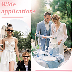 2 шт. тканевые нашивки со стразами&nbsp;PATC-FG0003-56