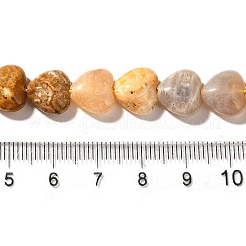 Природные окаменелые коралловые бусы пряди G-R190-10mm-45