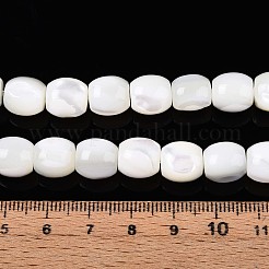 Нити бусин из натуральных трохоидных/трохус ракушек SSHEL-N040-09