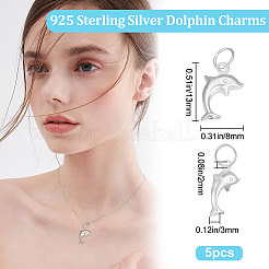 5 шт. 925 подвески-дельфина из стерлингового серебра STER-BBC0001-54
