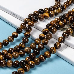 Естественно класса AB тигровый глаз круглые бусины пряди&nbsp;X-G-O047-02-10mm