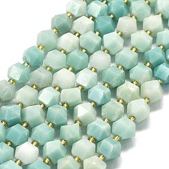 Натуральный цветок амазонитовые бусины пряди G-I376-A68-01