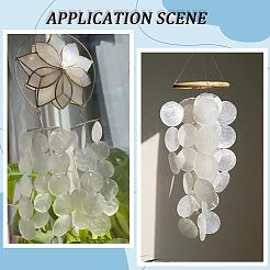 60 шт. плоские круглые подвески из ракушек капиз&nbsp;SSHEL-SC0001-48