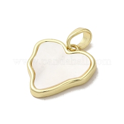 Латунные подвески из ракушек&nbsp;KK-I708-13F-G