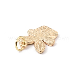 Наборы подвесок из сплава эмали&nbsp;PALLOY-JF02057