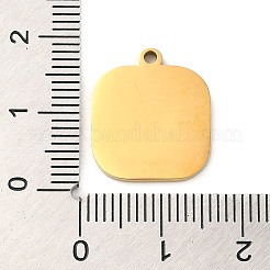 Ионное покрытие(ip) эмалированные подвески из нержавеющей стали 304&nbsp;X-STAS-Q301-13G