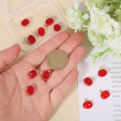 12 шт. Подвески из сплава с эмалью&nbsp;FIND-CA0009-59