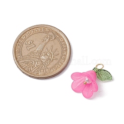 Акриловые подвески PALLOY-TA00145