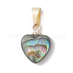 Природные пауа оболочки подвески&nbsp;PALLOY-JF05164