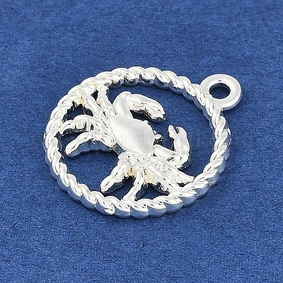 Подвески из сплава «двенадцать созвездий» PALLOY-Q006-01A-S-1