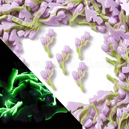 Светящиеся и двухцветные смоляные декодированные кабошоны RESI-Z032-02C-1