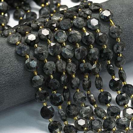 Натуральные нити бус из ларвикита G-C116-A155-01-1