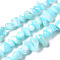 Natural Trochid Shell/Trochus Shell Bead Strands, Nuggets Chips, Dyed, Sky Blue, 3.5~13x6~12x3~8mm, Hole: 0.9mm, about 50~73pcs/strand, 15.35 inch~15.94 inch(39~40.5cm)