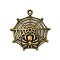 Tibetan Style Alloy Pendants, Spider and Web, Cadmium Free & Nickel Free & Lead Free, Antique Bronze, 31x27x6mm, Hole: 2mm
