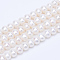 Natural Cultured Freshwater Pearl Beads Strands, Round, Floral White, 4.5~5mm, Hole: 0.8mm, about 81~83pcs/strand, 14.45 inch~15.08 inch(36.7~38.3cm)