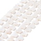 Нити бусин из натуральных пресноводных ракушек SHEL-H002-02E-1