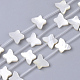 Натуральные белые бусины из ракушек SSHEL-S264-069A-1