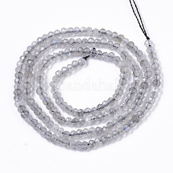 Природные лабрадорита бисер нитей G-R462-019