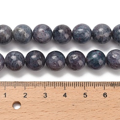 Природные иолит нитей бисера G-C259-B06-10mm