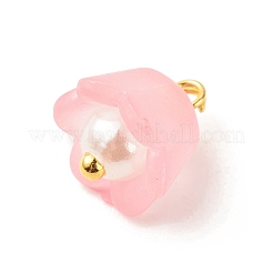 Прозрачные акриловые брелоки PALLOY-JF01603-01