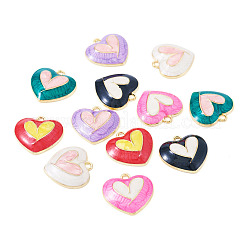 12шт 6 цвета сплава эмалевые подвески FIND-TA0006-63