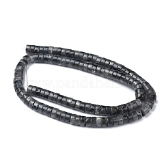 Натуральные черные бусины из ларвикита G-Z006-C31