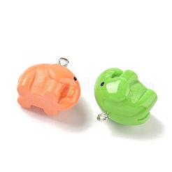 Подвески из непрозрачной смолы&nbsp;RESI-I355-03P-02