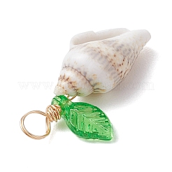 Подвески из натуральной морской ракушки&nbsp;PALLOY-JF03610-03