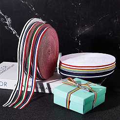 Плоские полосатые ленты из полиэстера в крупный рубчик EC-WH0003-13-B01