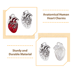 Подвески из сплава в тибетском стиле FIND-DC0003-50