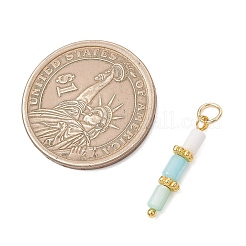 Подвески из окрашенных натуральных пресноводных ракушек&nbsp;PALLOY-JF05024-02