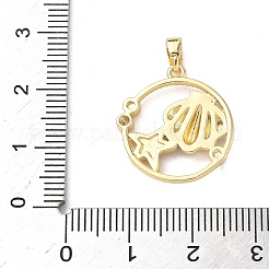 Плоская круглая подвеска в форме ракушки с микропаве из латуни с прозрачными кубическими циркониями&nbsp;KK-P334-17G-01