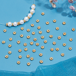 200 шт. бусины-разделители из сплава в форме цветка&nbsp;FIND-LP0001-01