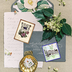 Прозрачные штампы из ПВХ с летней тематикой DIY-WH0631-0354